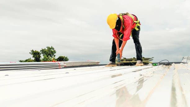 Best Solar Panel Roofing Installation  in Quincy, FL