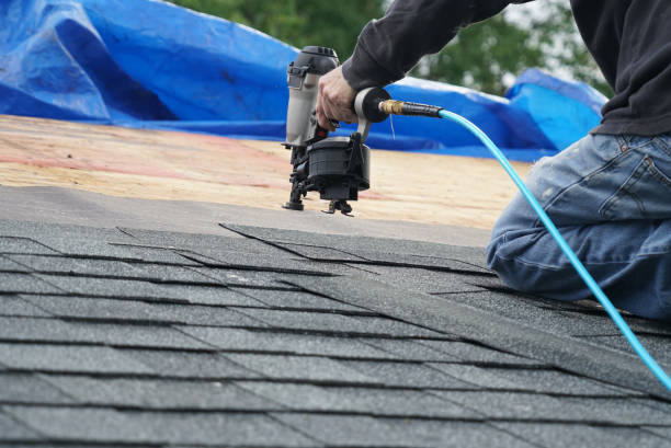 Best Asphalt Shingle Roofing  in Quincy, FL